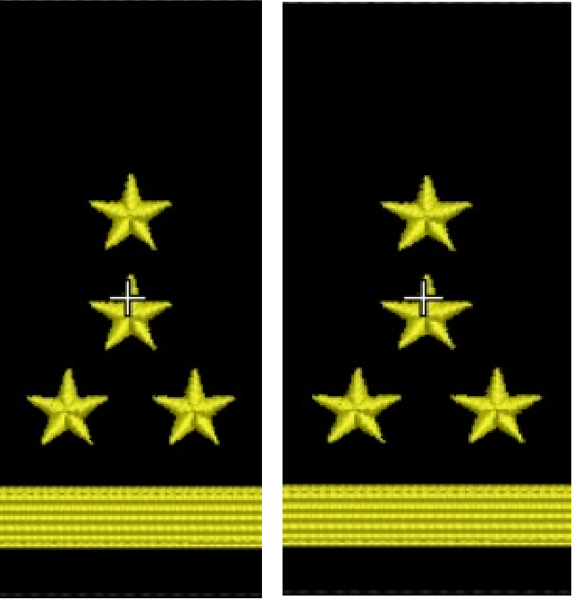 GRADE MAISTRU MILITAR 1 - FORTE NAVALE